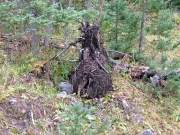 blowdown_part_7