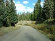 mellow_trail