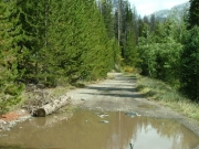 mud_puddle