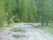 small_puddles