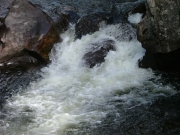 water_part_4