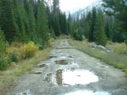 wet_trail