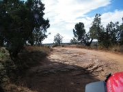 early_trail