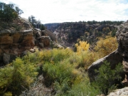 fall_colors