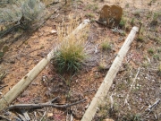 gravesite_part_1