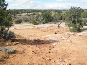 little_rocks