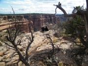 walt_and_georgina_at_the_edge_part_1