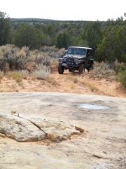 walt_on_the_trail