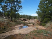 water_on_the_trail