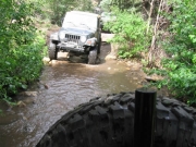 bob_across_the_creek