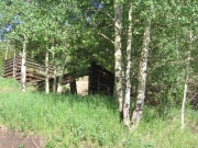 cabin