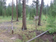end_of_the_trail