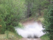 mark_splash