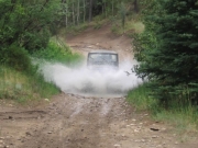 robert_splash