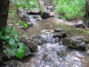 sevenmile_creek
