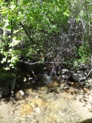 clear_water