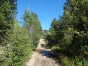 creek_crossing