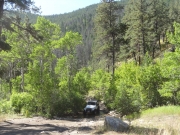 roger_at_the_meadow