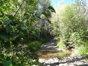 scenic_crossing