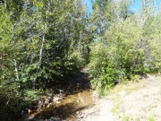 tight_creek_crossing