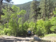 walt_at_the_meadow