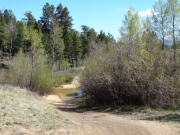 creek_crossing