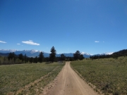 meadow