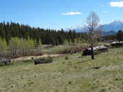 old_cabins