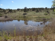 ponds