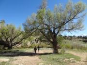 sailor_homestead_part_5