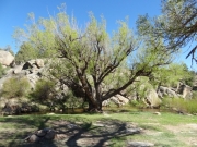 sailor_homestead_part_6