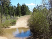 through_the_creek