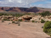 big_view
