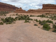 slickrock_trail