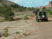 wayne_on_the_trail