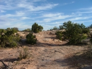 slickrock_trail