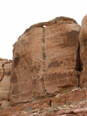 tiny_arch
