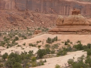 tippy_slickrock_part_1