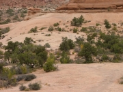 tippy_slickrock_part_2