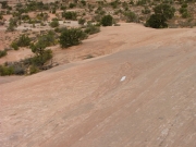 tippy_slickrock_part_5