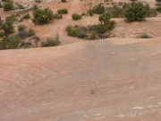 tippy_slickrock_part_6