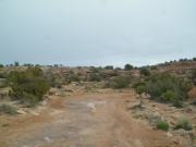 dreary_morning