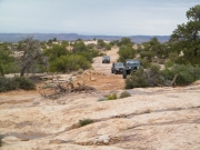 jeeps
