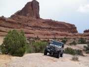 walt_in_scenery