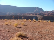 the_edge_of_the_overlook
