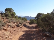 bottom_of_the_switchbacks