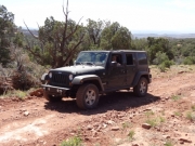 julie_in_the_desert