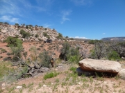 julie_on_the_trail