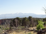 la_sal_mountains