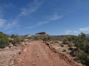 little_bluff